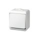 22181 GAO 22181 2 pólusú kapcsoló, kültéri IP44 kivitel, 230 V~ / 50 Hz / 10 A, fehér