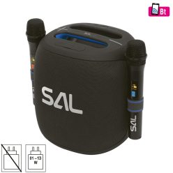 PARCUBE SAL PARCUBE boombox, 100 W, 2db vezeték nélküli mikrofon, 5db hangszóró, LED fényeffekt, IP