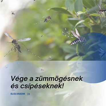 Zümmögnek, csípnek, bosszantanak? Itt az idő beszerezni a rovarcsapdát – most 20% kedvezménnyel!